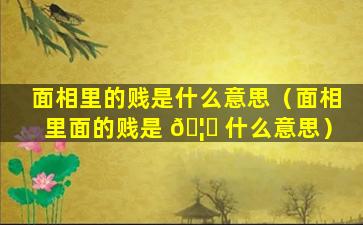 面相里的贱是什么意思（面相里面的贱是 🦈 什么意思）